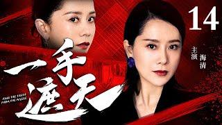 【孙红雷主演经典警匪剧】一手遮天 14｜孙红雷成名之作（孙红雷 / 海清）