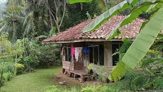 Wow suasana kampung jaman dulu dengan banyaknya mutiara tersembunyi yang masih malu-malu