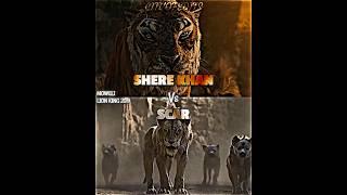 Shere Khan vs Scar #lionking #mowgli #vsbattle #vsedit #scar #sherekhan #whoisstrongest #wis #simba