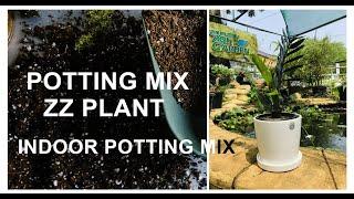 Zz plant potting mix making ( any zz plants making potting mix (zz green/zz dwarf / zz black