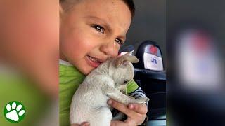 Compassionate boy cries when his puppy cries