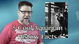 5 Cool Aquarium History Facts