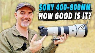 Sony 400-800mm Review – JAW-DROPPING Zoom & Sharpness! But $$$