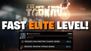 Escape From Tarkov PVE - How To MAX OUT Your Weapon Maintenance Skill QUICKLY! Fast Elite Level!