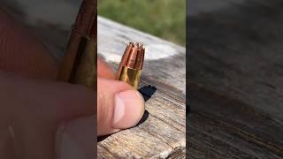 RIP 9mm Vs Human Face = PAIN #civtac #ammo #gun