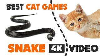 CAT GAMES hunt SNAKE ON SCREEN - video for cats 1 HOUR 4K video