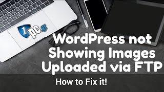 Fix WordPress not Showing Images Uploaded via FTP (after deleting the website, or uploading images)