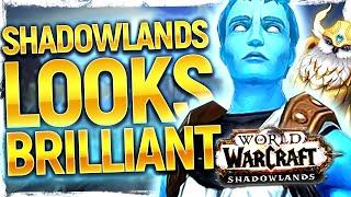 ….WOW: Shadowlands Has Me Surprised So Far | SO Many Things BETTER Than BFA! Alpha Impressions