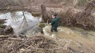 unclogging beaver dam #2. update. 1/3/23
