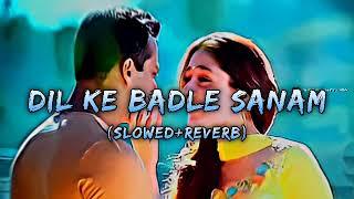 DIL KE BADLE SANAM || (SLOWED+REVERB) || UDIT NARAYAN || ALKA YAGNIK || SAMEER || XPERT MELODY