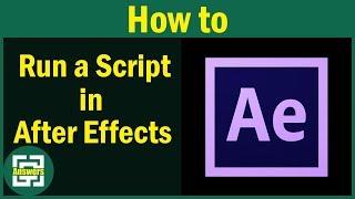 After Effects Tutorial | How to run a script in After Effects