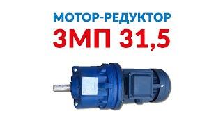 Мотор-редуктор 3мп 31,5