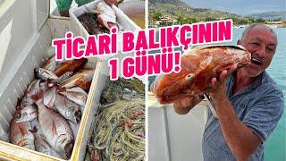 TİCARİ BALIKÇININ 1 GÜNÜ !!! (PARAGAT VE AĞCILIK) | AĞDAKİ BALIĞIMIZI KÖPEKBALIĞI YEDİ :(