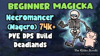 Beginner Magicker Necromancer (Magcro) 74k+ PVE DPS Build Deadlands UPDATED Build in Description