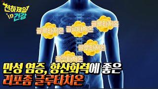 만성 염증, 항산화력에 좋은 리포좀 글루타치온 ㅣ 천하제일 in 건강