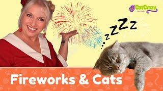 Cat Safety Tips for July 4th Celebrations