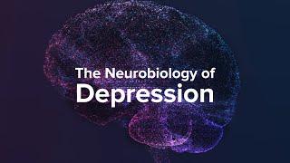 How Depression Affects The Brain - Yale Medicine Explains