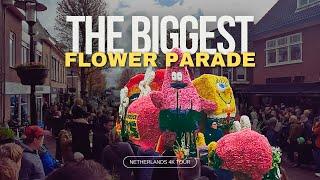  FLOWER PARADE Netherlands 2024   BLOEMENCORSO Bollenstreek |