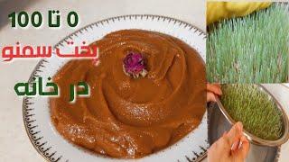 طرز تهیه سمنو با جوانه گندم سمنو سنتی سمنک/ how to make samanu/ samanak+ samano