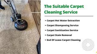 The Best and Professional Carpet Cleaning In Miami | Back 2 New Cleaning