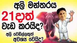 Lesson 595– 21 වෙනිදා අලි මන්තර වැඩ කරයිද? -English in Sinhala |  Ideal guide to English