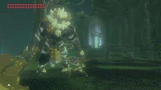 Breath of the Wild: Epic Battle On Temple of time