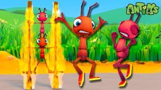 Joey and Boo Aren't Fire Resist-ANT  |  Antiks  | Funny Cartoons for Kids | Moonbug