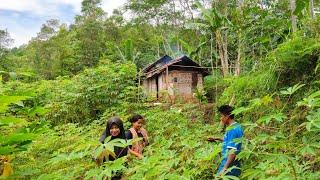 Ajakin Istri Berkunjung Ke Pasangan Muda Mudi Yg Tinggal Di Rumah Kecil Tengah Hutan Lereng Bukit