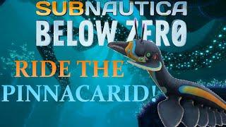 YOU CAN RIDE THE PINNACARIDS! - Subnautica Below Zero New Story Part 1