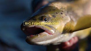 Kelly Galloup Explains Big Fish Behaviour - PLUS Black Friday Deals!