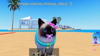 kitten game _ roblox (=ㅇ༝ㅇ=)