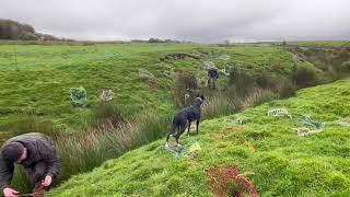 Ferreting ditches