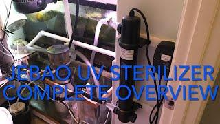 UV sterilizer JEBAO complete overview from what they do, install, with helpful tips& mistakes I made