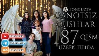 QANOTSIZ QUSHLAR 187 QISM TURK SERIALI UZBEK TILIDA | КАНОТСИЗ КУШЛАР 187 КИСМ УЗБЕК ТИЛИДА