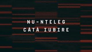 Filon Cioban - Nu-nteleg cata iubire // cu versuri