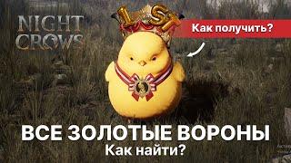 Все золотые вороны в Night Crows. Как найти? Получаем золотого цыпленка. Новый ивент