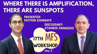 Paymon Khorrami "Where There Is Amplification, There Are Sunspots" [17th Macro Finance Workshop]