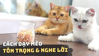 Cách Dạy Mèo TÔN TRỌNG và NGHE LỜI BẠN ️