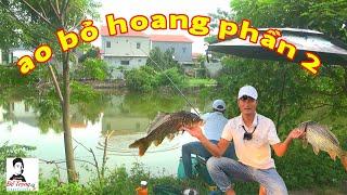 câu thử ao BỎ HOANG ai ngờ chạm mặt 5 chép ( phần 2 ) cá chép khỏe thực sự