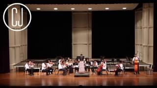 Medley from the Masters | AMS Intermediate Orchestra | 2017 Spring Concert