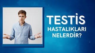 Testis Hastalıkları Nelerdir? -Prof. Dr. Ömer Faruk Karataş