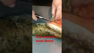 Печень Налима очень вкусная.