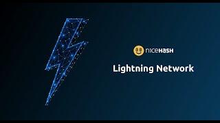Lightning Network на NiceHash. Перевод Bitcoin моментально и без комиссии