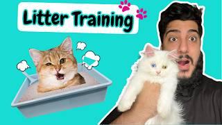 How to Train a Cat to use litter box | How to potty train baby kittens 2024