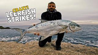 Crazy Leerfish Strikes | Shore Jigging