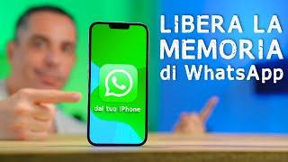 LIBERA LA MEMORIA di WhatsApp dal tuo iPhone