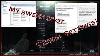 Escape from Tarkov - Complete Settings Guide