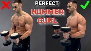 Dumbbell Hammer Curls Tutorial | CORRECT TECHNIQUE (!)