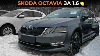 Skoda Octavia A7 рестайлинг | Осмотр перед покупкой | Ваг как обычно