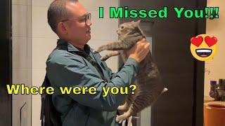 Rescuer Reunites With Cat 4 Years Later